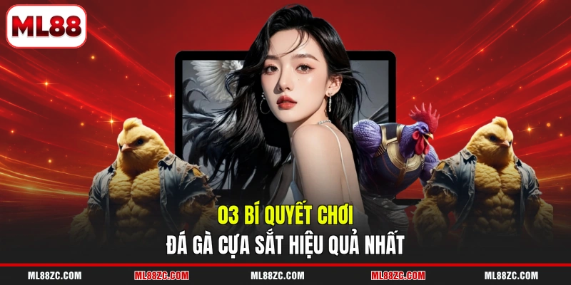 Đá Gà Cựa Sắt - Đặt Cược Dễ Dàng, Rinh Quà Cực Khủng 4 03 bí quyết chơi đá gà cựa sắt hiệu quả nhất