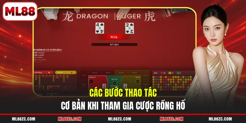 Rồng Hổ - Hướng Dẫn Chi Tiết Quy Tắc Của 3 Cửa Cược 4 Các bước thao tác cơ bản khi tham gia cược Rồng Hổ