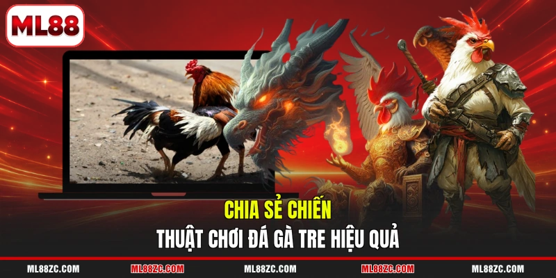 Đá Gà Tre - Trải Nghiệm Từng Trận Đấu Gay Cấn 2026 4 Chia sẻ chiến thuật chơi đá gà tre hiệu quả