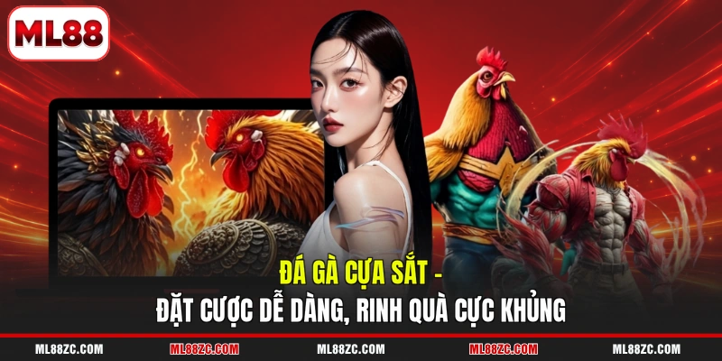 Đá Gà Cựa Sắt - Đặt Cược Dễ Dàng, Rinh Quà Cực Khủng 1 Đá Gà Cựa Sắt - Đặt Cược Dễ Dàng, Rinh Quà Cực Khủng