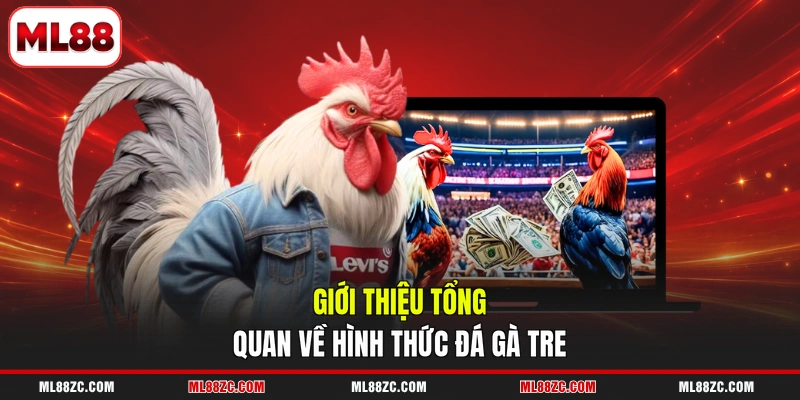 Đá Gà Tre - Trải Nghiệm Từng Trận Đấu Gay Cấn 2026 2 Giới thiệu tổng quan về hình thức đá gà tre