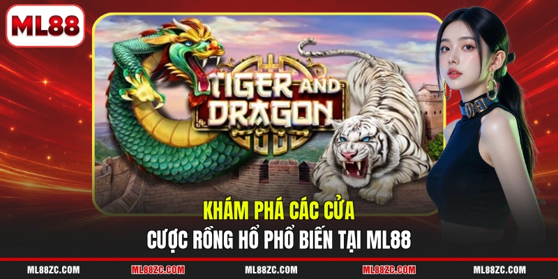 Rồng Hổ - Hướng Dẫn Chi Tiết Quy Tắc Của 3 Cửa Cược 2 Khám phá các cửa cược Rồng Hổ phổ biến tại ML88