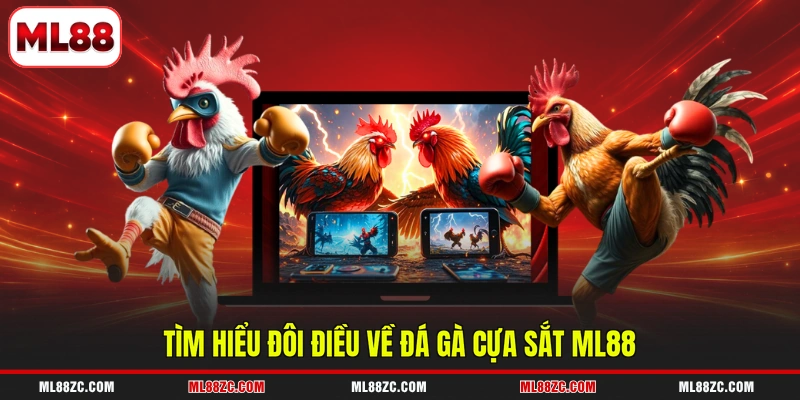 Đá Gà Cựa Sắt - Đặt Cược Dễ Dàng, Rinh Quà Cực Khủng 2 Tìm hiểu đôi điều về đá gà cựa sắt ML88