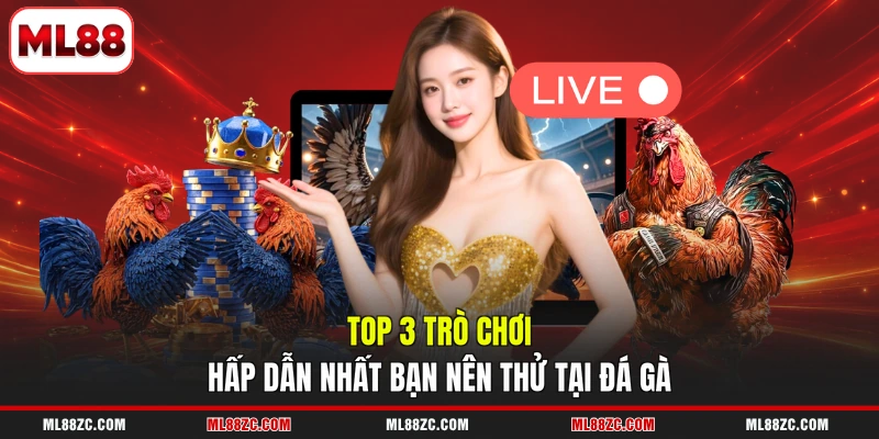 Top 3 trò chơi hấp dẫn nhất bạn nên thử tại đá gà
